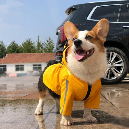 reflective dog raincoat for small dogs