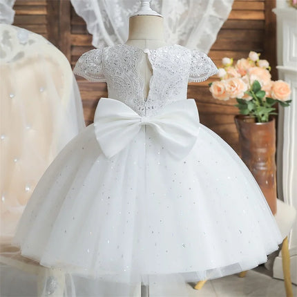 Baby Girls Dresses for 1st Birthday Party Backless Embroidery Elegant Big Bow Wedding Tutu Gown Girls Pink Formal Gala Costume