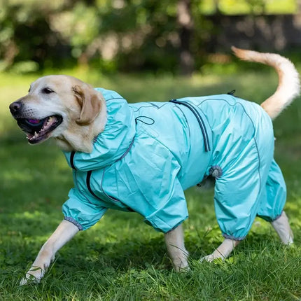 dog raincoat for large dogs