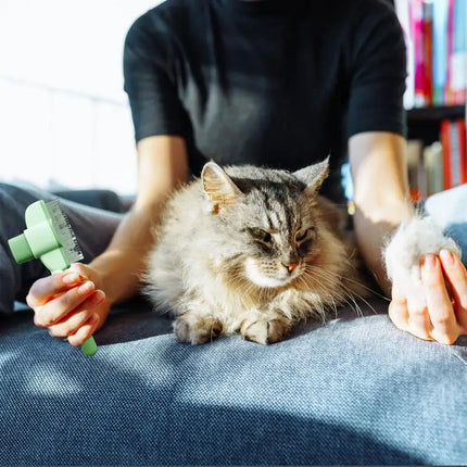 Dog Hair Remover Brush Pet Dogs Hair Brush Cat Dog Hair Grooming And Care Comb Long Hair Pet Self Cleaning Row Pet Supplies