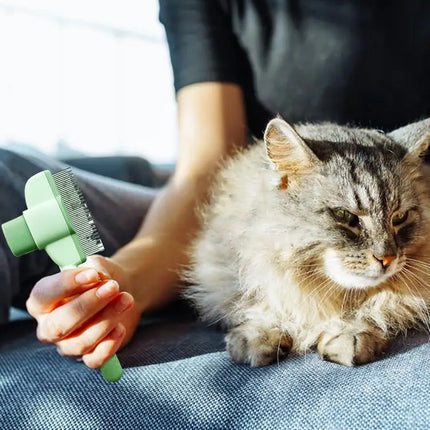 Dog Hair Remover Brush Pet Dogs Hair Brush Cat Dog Hair Grooming And Care Comb Long Hair Pet Self Cleaning Row Pet Supplies