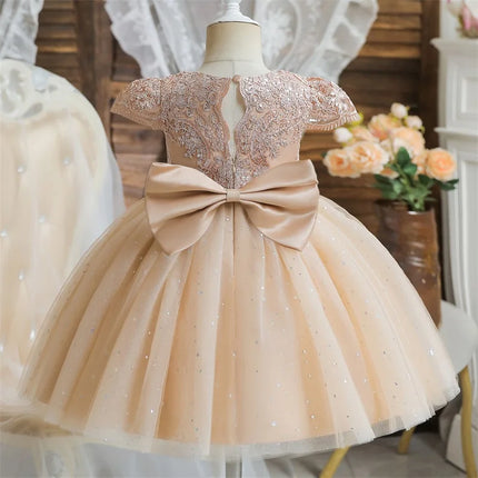 Baby Girls Dresses for 1st Birthday Party Backless Embroidery Elegant Big Bow Wedding Tutu Gown Girls Pink Formal Gala Costume