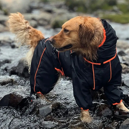 dog raincoat for large dogs