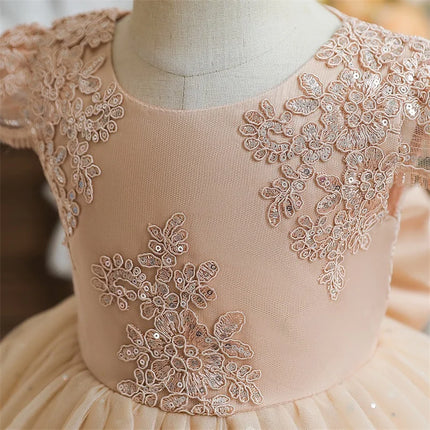 Baby Girls Dresses for 1st Birthday Party Backless Embroidery Elegant Big Bow Wedding Tutu Gown Girls Pink Formal Gala Costume