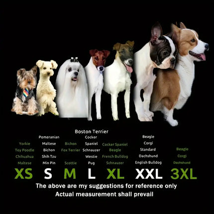 water-resistant dog shoes for small dogs