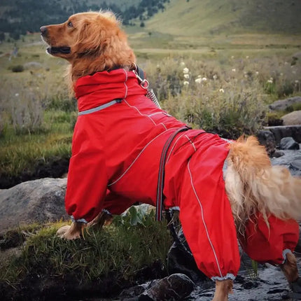 dog raincoat for large dogs
