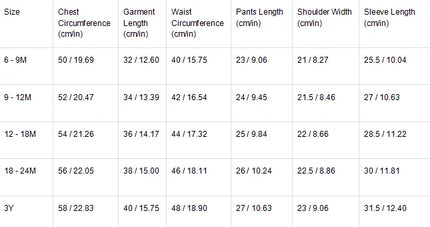 Baby Girl Outfit Set 0 - 3Y Baby Clothing Mock Neck Flower Applique Ribbed Top and Color Block Bow Skirt Cute Casual Party Wear