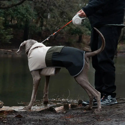 adjustable waterproof dog raincoat
