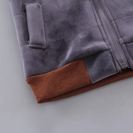 Baby Boys And Girls Clothing Set Tricken Fleece Children Hooded Outerwear Tops Pants 3PCS Outfits Kids Toddler Warm Costume Suit