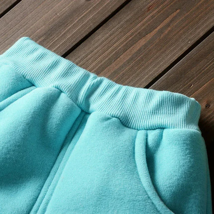 Baby Boys And Girls Clothing Set Tricken Fleece Children Hooded Outerwear Tops Pants 3PCS Outfits Kids Toddler Warm Costume Suit