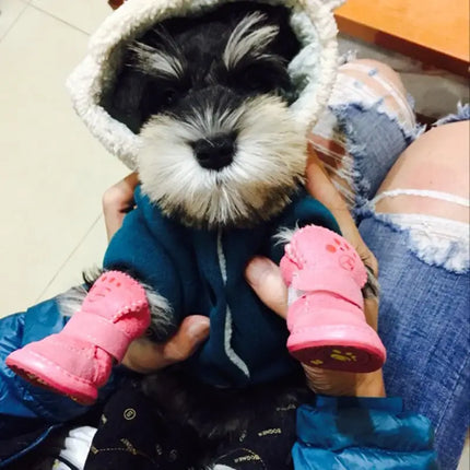 warm winter pet shoes for small dogs