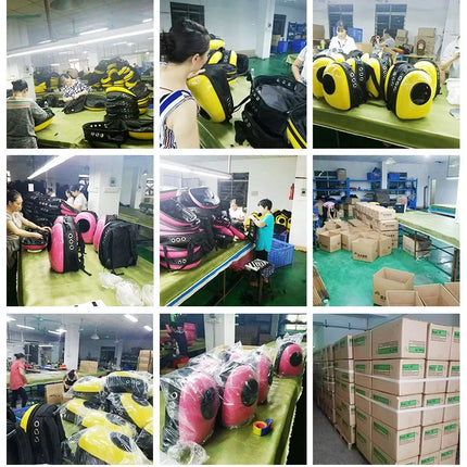 Pet Carrier Backpack with Window Transport Carrying Breathable Travel Bag Dog Space Capsule Cat Carrier