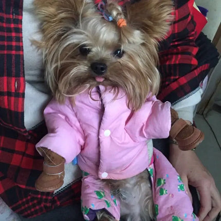 warm winter pet shoes for small dogs