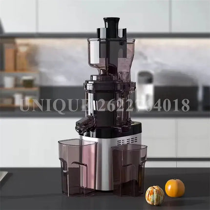 Household Slow Juicer Screw Electric Juice Maker Stainless Steel Filter Free Large Caliber Cold Press Fruit Vegetable Extractor
