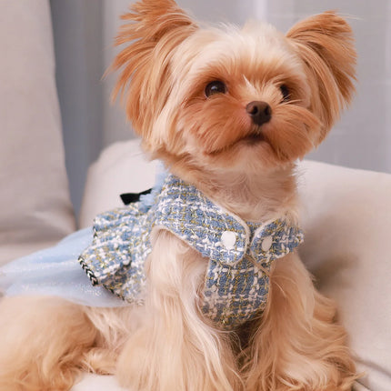 Pet clothing for spring & autumn, teddy bear, Schnauzer, Yorkshire, puppy clothing, dog princess dress, suitable for fashionable