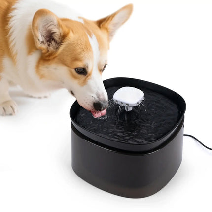 Low Decibel Pet Water Dispenser with Nozzle Cat Dog Automatic Water Dispenser Electric Recirculate Filtring Drinker Pet Supplies