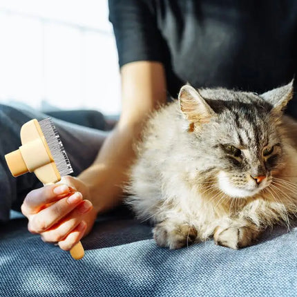 Dog Hair Remover Brush Pet Dogs Hair Brush Cat Dog Hair Grooming And Care Comb Long Hair Pet Self Cleaning Row Pet Supplies