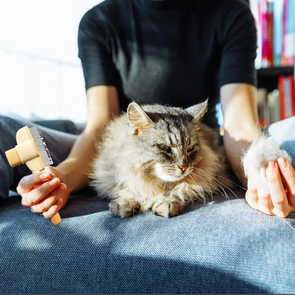 Dog Hair Remover Brush Pet Dogs Hair Brush Cat Dog Hair Grooming And Care Comb Long Hair Pet Self Cleaning Row Pet Supplies