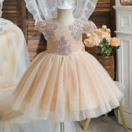 Baby Girls Dresses for 1st Birthday Party Backless Embroidery Elegant Big Bow Wedding Tutu Gown Girls Pink Formal Gala Costume