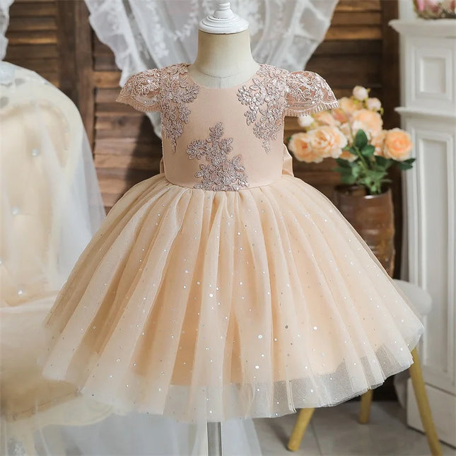 Baby Girls Dresses for 1st Birthday Party Backless Embroidery Elegant Big Bow Wedding Tutu Gown Girls Pink Formal Gala Costume