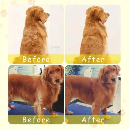 Steamy Dog Brush Electric Spray Cat Hair Brush 3 In1 Dog Steamer Brush for Massage Pet Grooming Removing Tangled and Loose Hair