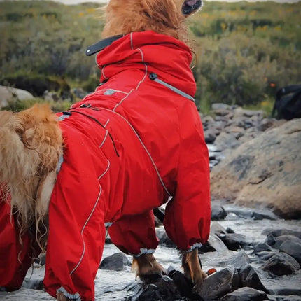 dog raincoat for large dogs