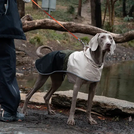 adjustable waterproof dog raincoat