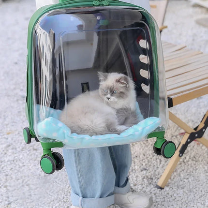 Cats Carrier Pet Backpacks PC Material Travel Stroller Bags Pet Shop Transparent Transportation Products on Wheels Accessories