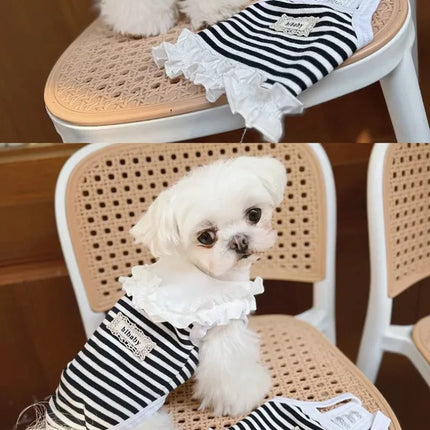 Pet Summer Clothes Pet Couple Striped Shirt Pet Tank Top Dog Cat Universal Knitted Teddy Shirt Puppy Clothing Dog Cooling Vest