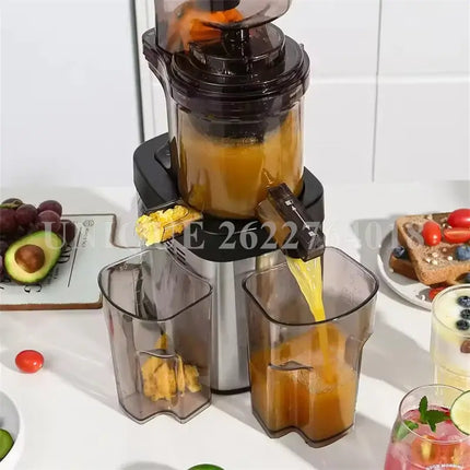 Household Slow Juicer Screw Electric Juice Maker Stainless Steel Filter Free Large Caliber Cold Press Fruit Vegetable Extractor