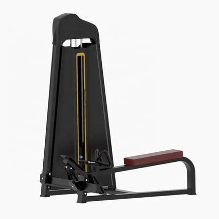 Fitness Equipment Commercial Gym Equipment Ac Long Pull Machine