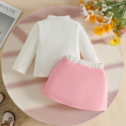 Baby Girl Outfit Set 0 - 3Y Baby Clothing Mock Neck Flower Applique Ribbed Top and Color Block Bow Skirt Cute Casual Party Wear
