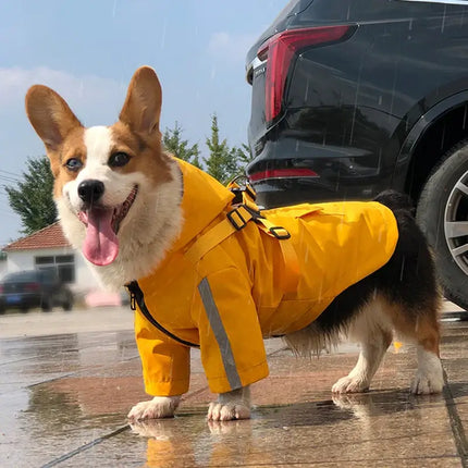 reflective dog raincoat for small dogs