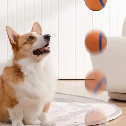 Dog Toy Ball Dog Fetch Ball Toy Tough Pet Ball Puppy Chew Toy Solid Elastic Jumping Ball Pet Accessories For Large Medium Small