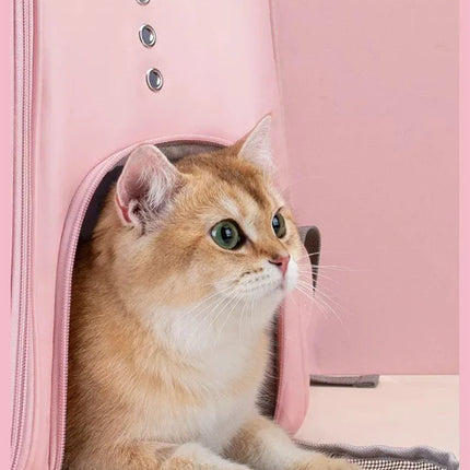 Pet Carrier Backpack with Window Transport Carrying Breathable Travel Bag Dog Space Capsule Cat Carrier