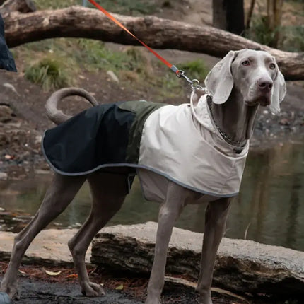 adjustable waterproof dog raincoat
